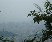 上虞后天天气